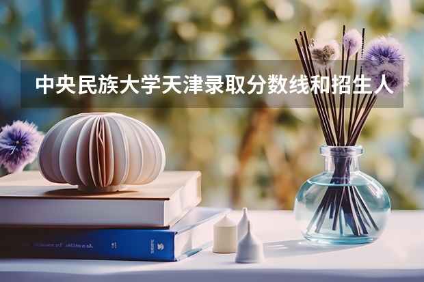 中央民族大学天津录取分数线和招生人数