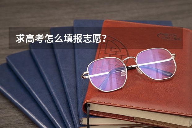 求高考怎么填报志愿？