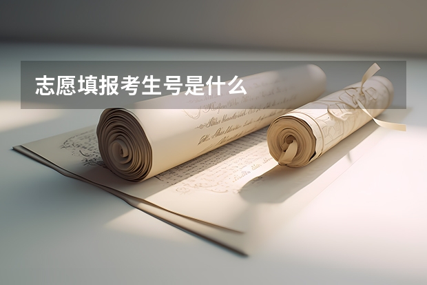 志愿填报考生号是什么