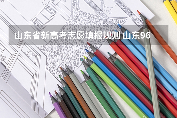 山东省新高考志愿填报规则 山东96个平行志愿录取规则及填报技巧