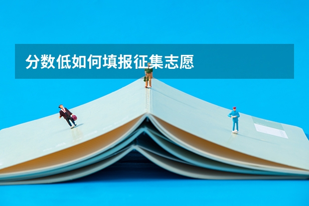 分数低如何填报征集志愿