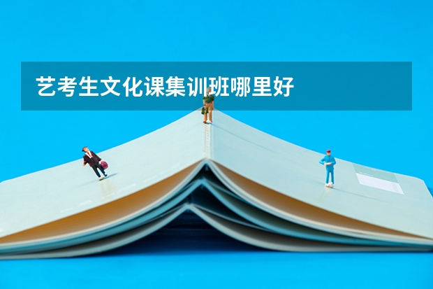 艺考生文化课集训班哪里好