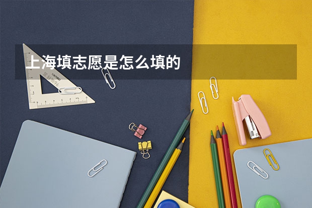 上海填志愿是怎么填的