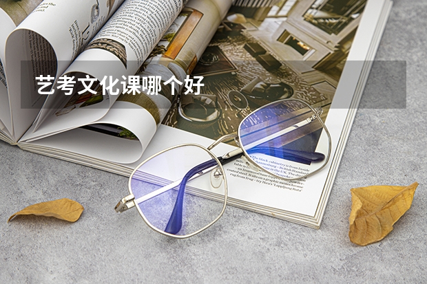 艺考文化课哪个好