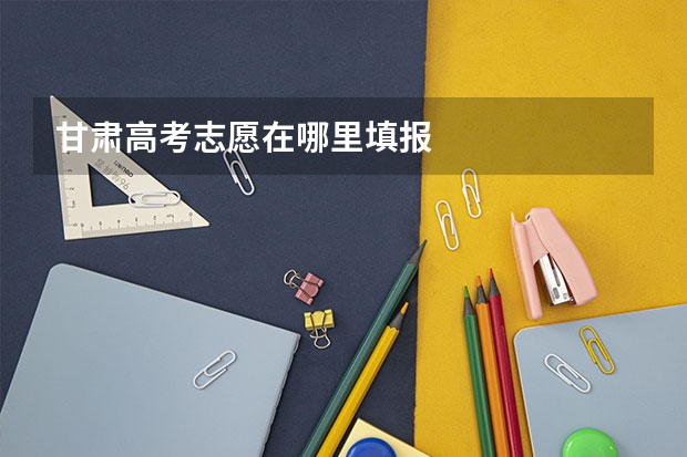 甘肃高考志愿在哪里填报