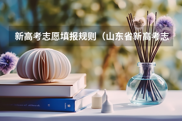 新高考志愿填报规则（山东省新高考志愿填报规则）