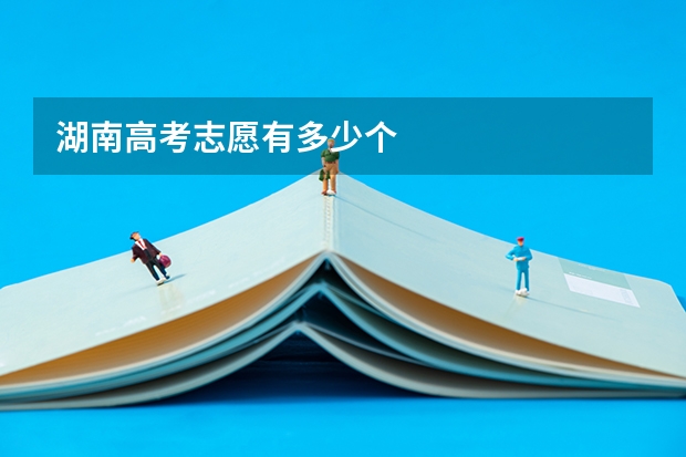 湖南高考志愿有多少个
